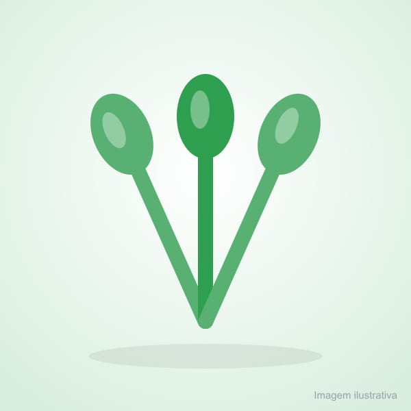 Colher Festa Verde 625 Strawplast