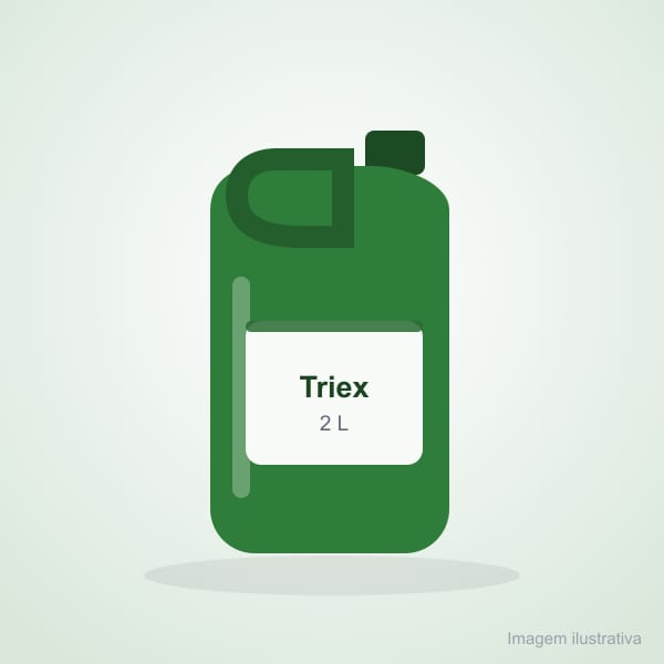 Desinfetante Líquido Triex Aromas do Pinho 2 L